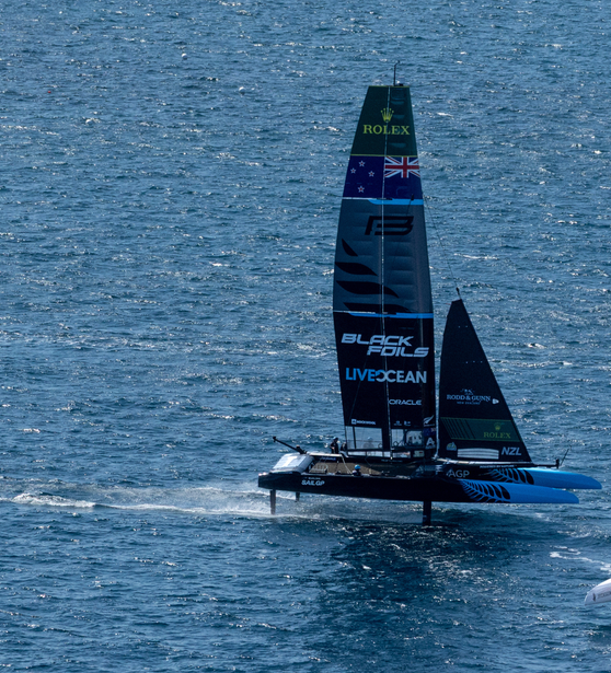 Samo Vidic _ SailGP