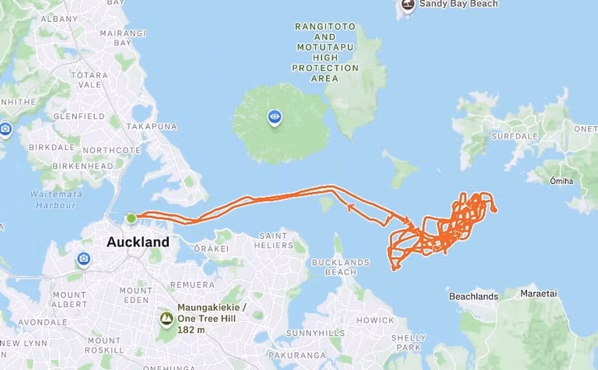 260313_ETNZ_B1_D2_track-2048x2048 copy