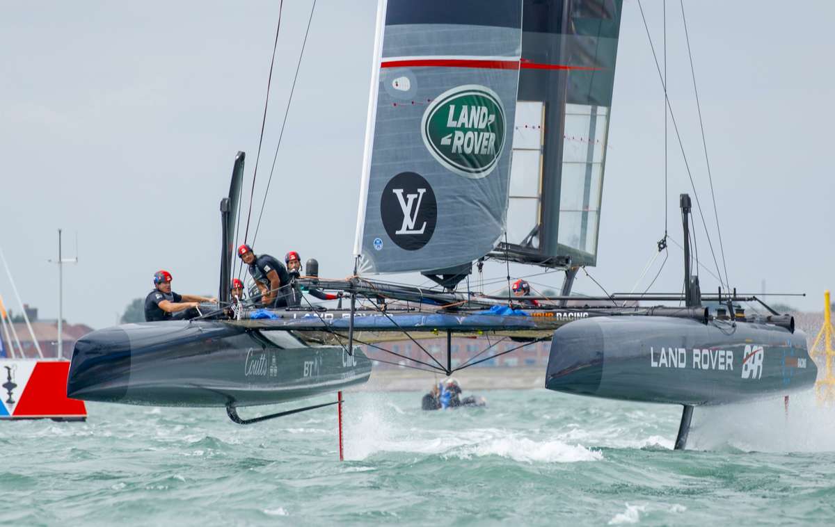 AC45F cat Nick Dimbleby